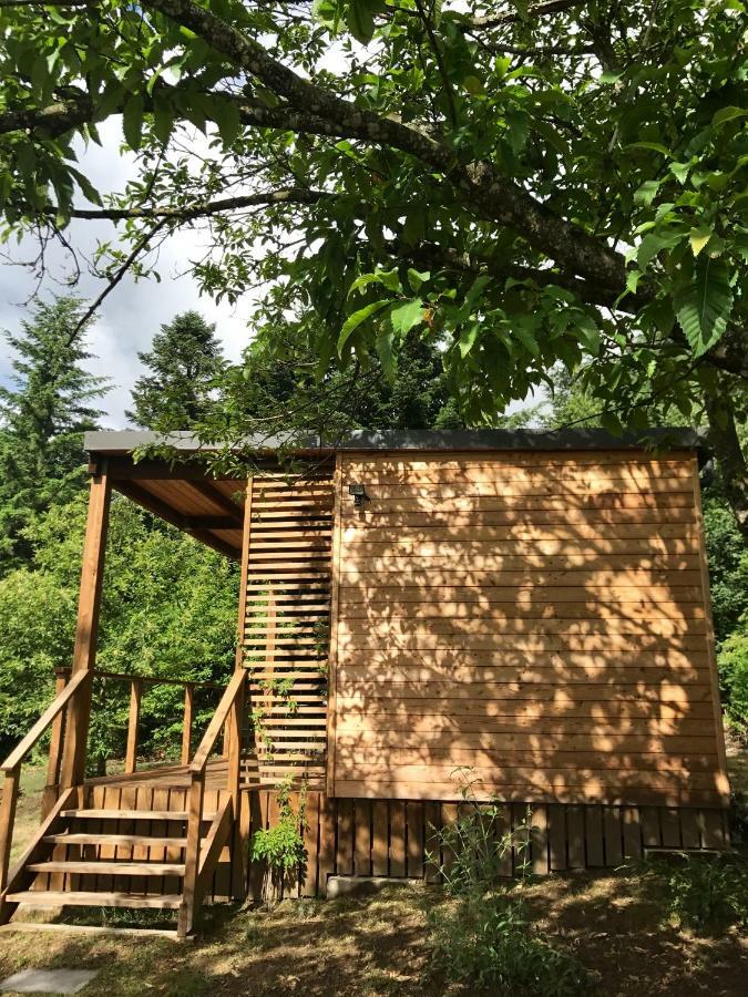 La Canopee 19 Lamazière-Basse Kültér fotó